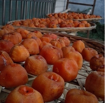 这是一张柿饼的制作方法的配图