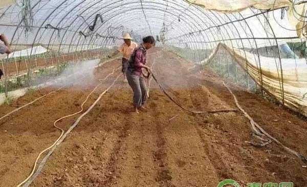  药剂闷棚正确覆膜之覆膜少用土压