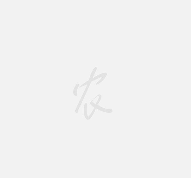 气雾培种植槽优缺点分析