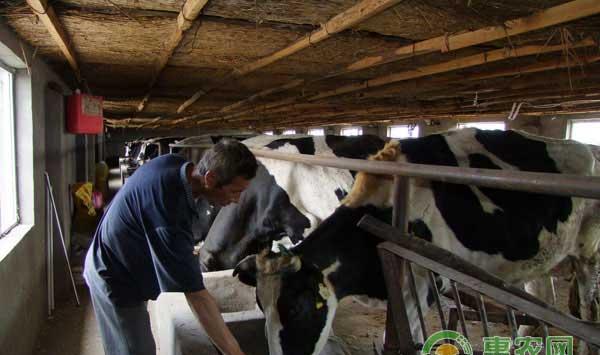 中草药在畜牧养殖业中的运用