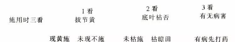 水稻肥料施用注意事项