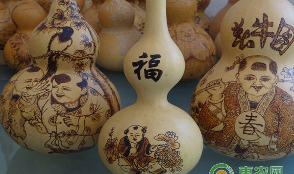 葫芦催芽方法