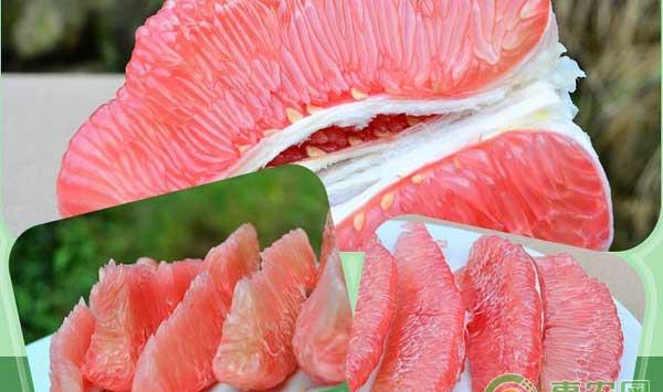 红心柚高产种植技巧之施肥