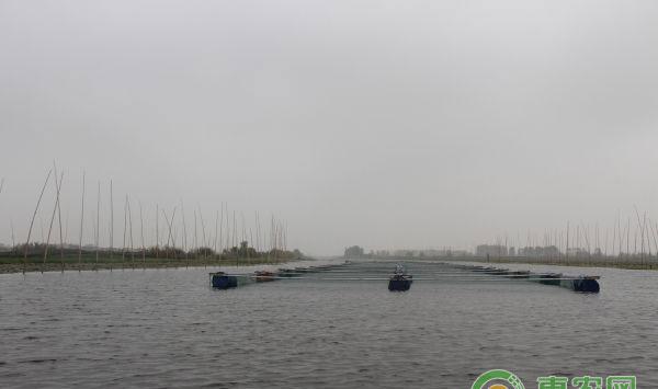 水产养殖病害产生原因，水产养殖病害防治措施