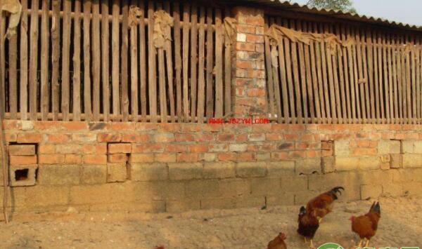 鸡场感染球虫病环境因素