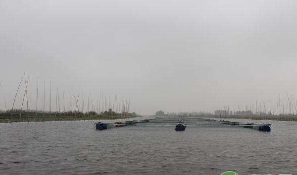 水产养殖