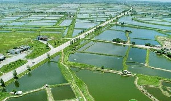 龙虾养殖场