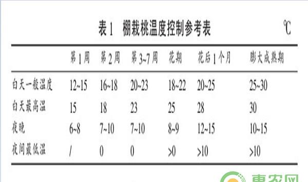 设施桃树栽培过程中的常见问题及其应对措施