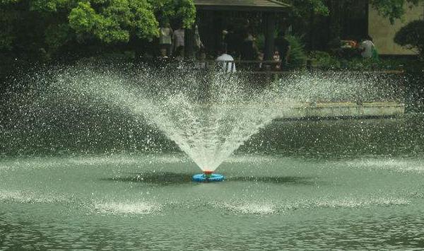 水产养殖技术，鱼塘为什么会变成“老绿水”