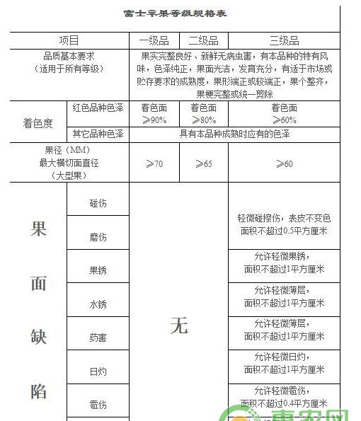 红富士苹果怎么上色？红富士苹果着色栽培技术