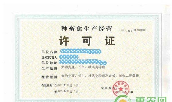 选购和引进后备种猪时应该注意哪些问题？