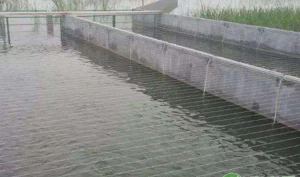 流水养鱼