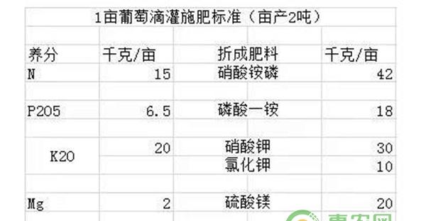 1亩葡萄滴灌施肥标准