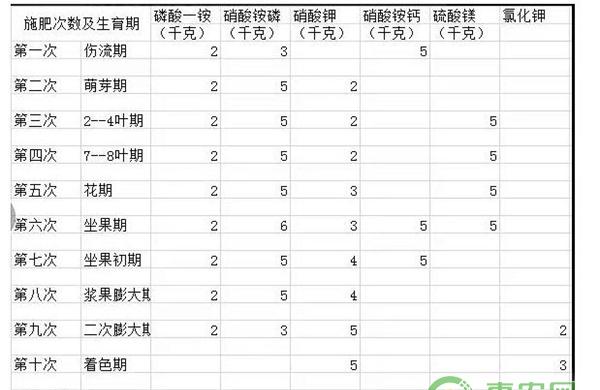 滴灌施肥注意事项