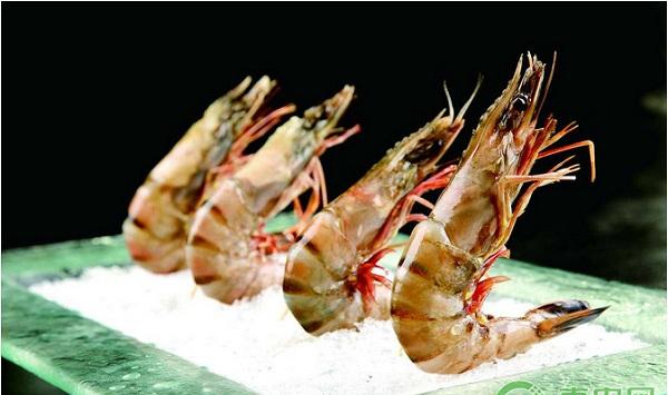 浅析“太湖1号”青虾高效养殖模式