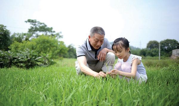 如何成为农资经营的新农人