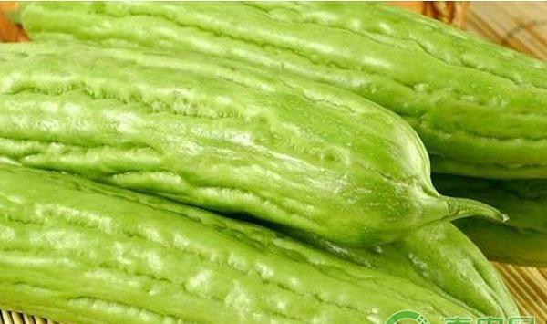 苦瓜枯萎病的危害症状及其防治措施