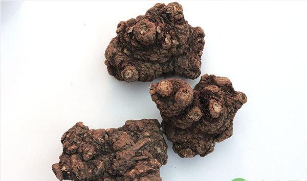 川芎地膜覆盖标准化高产栽培技术要点