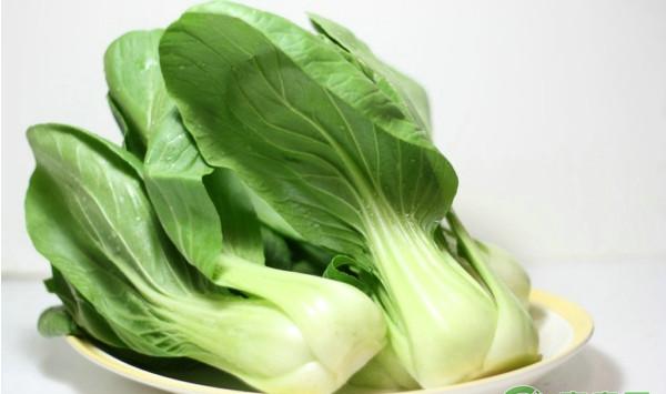 青菜如何高效种植？青菜四季高产栽培技术要点