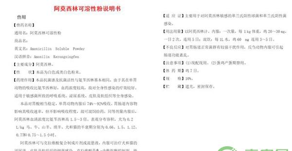 阿莫西林 