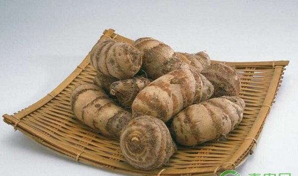 芋头种植如何实现高产？芋头高产栽培技术要点