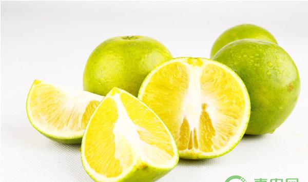 贡柑怎么种植？贡柑高效种植技术