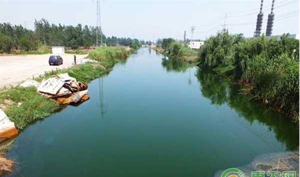 如何用肉眼观察水质是否适合小龙虾养殖