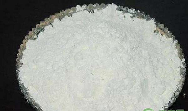 多效唑在芒果控梢上的科学应用技术