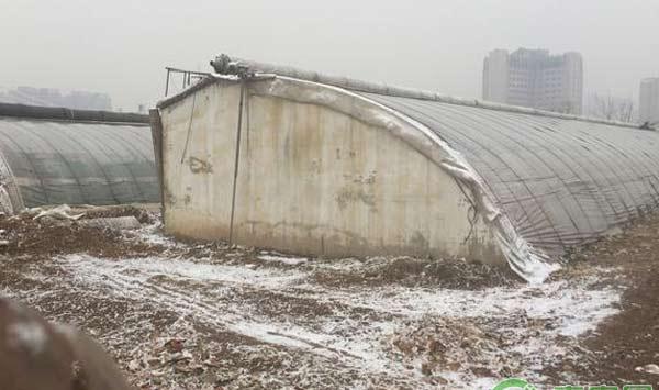 下雪天蔬菜大棚管理技巧
