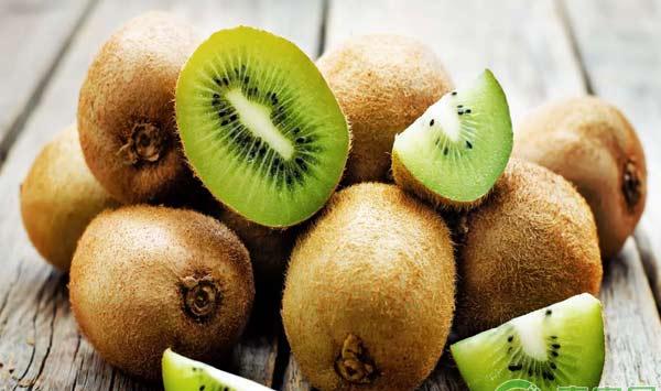 猕猴桃叶片4大病害诊断说明书