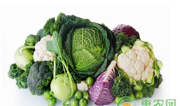蔬菜黄头黄叶是什么原因？蔬菜黄头黄叶的防治办法