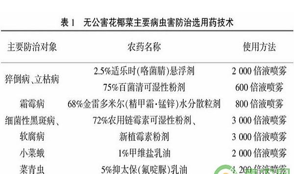 花椰菜优质高产种植技术及综合病虫害防治