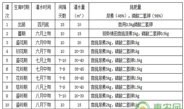 棉花“新陆早57号”高产栽培技术及主要病虫害防治