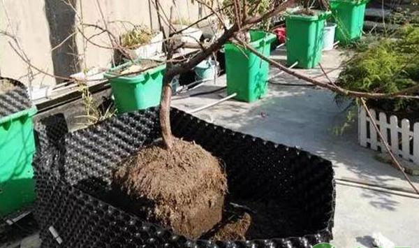 垫土到合适高度