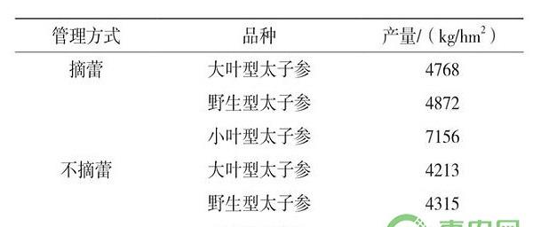太子参优质高产栽培技术要点