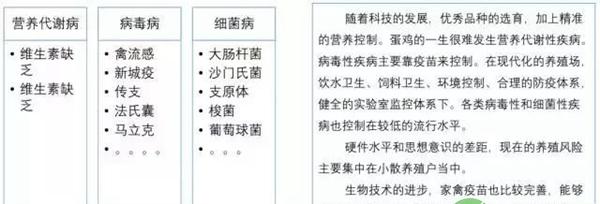 易感染疾病和控制措施