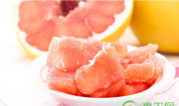 三红蜜柚高效种植技术及主要病虫害防治措施