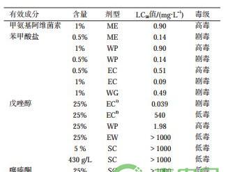 浅谈大棚草莓的蜜蜂管理要点