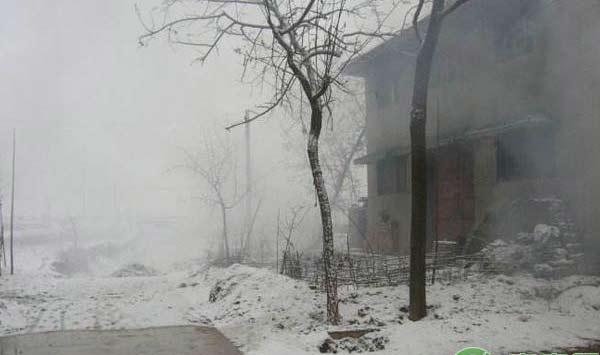 大雪过后对麦田的管理措施