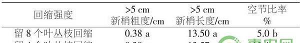 密植桃树夏季回缩修剪技术
