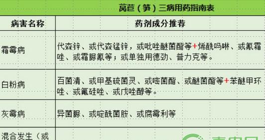 浅谈莴苣三种常见病害的识别及其防治措施