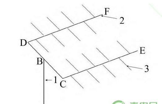 阳光玫瑰葡萄省力化高产栽培技术