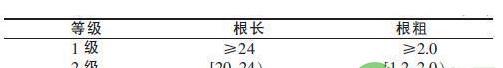 中药巴东独活的人工播种育苗技术