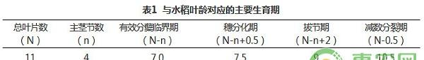 寒地水稻优化施肥技术