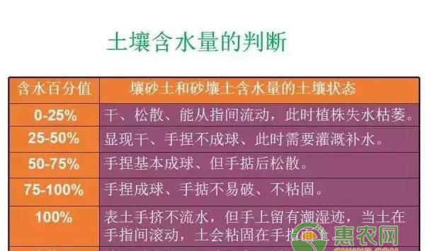 怎么判断土壤含水量？