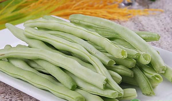 浅析四季豆种植技术与病虫害防治措施