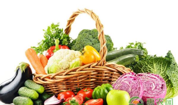 阳台种菜最新攻略