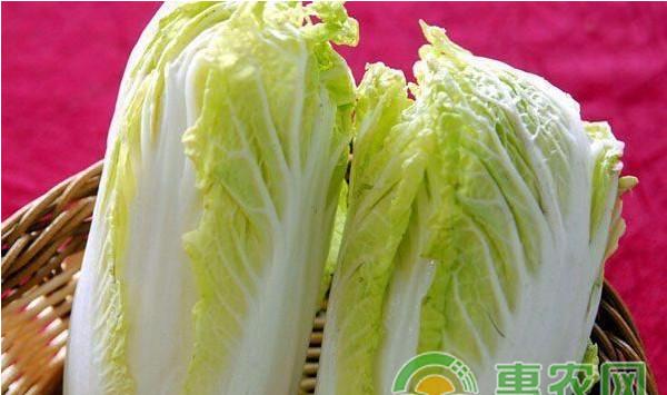 白菜上小黑点出现的原因及解决方法