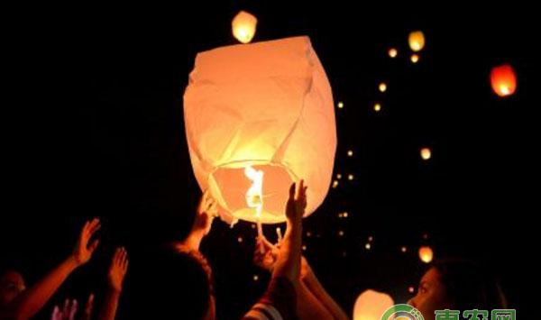 大棚种植的意外危害讲解