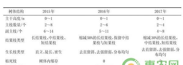 荸荠种杨梅安全优质高产栽培关键技术